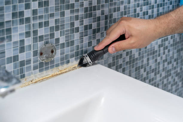 Best Office Mold Removal Services  in Dolton, IL